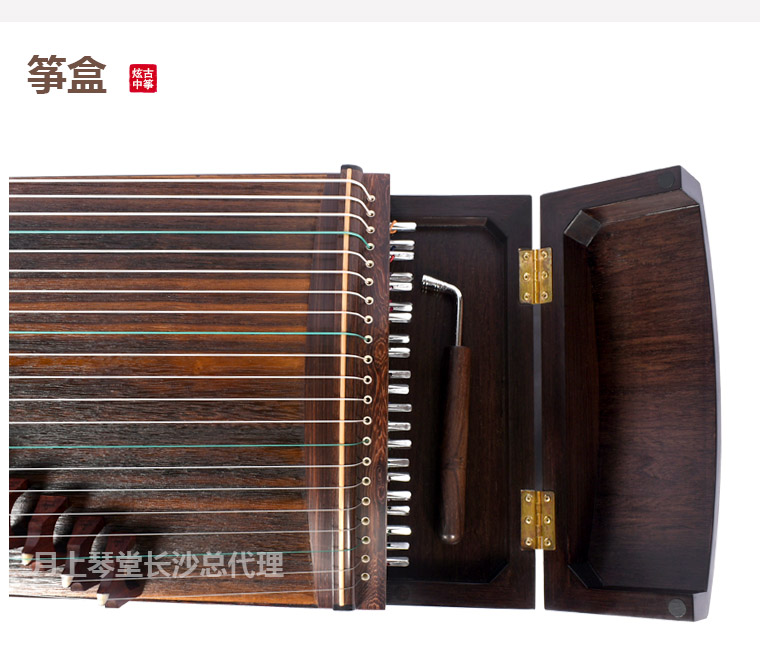 炫光古筝和炫中古筝