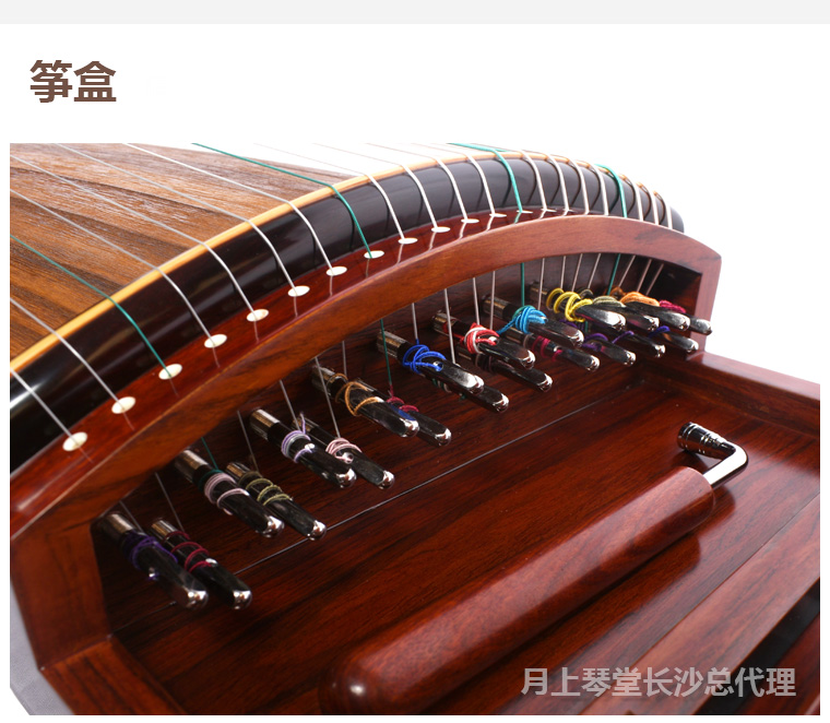 炫中古筝和炫光