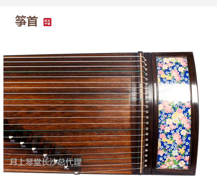 炫中古筝